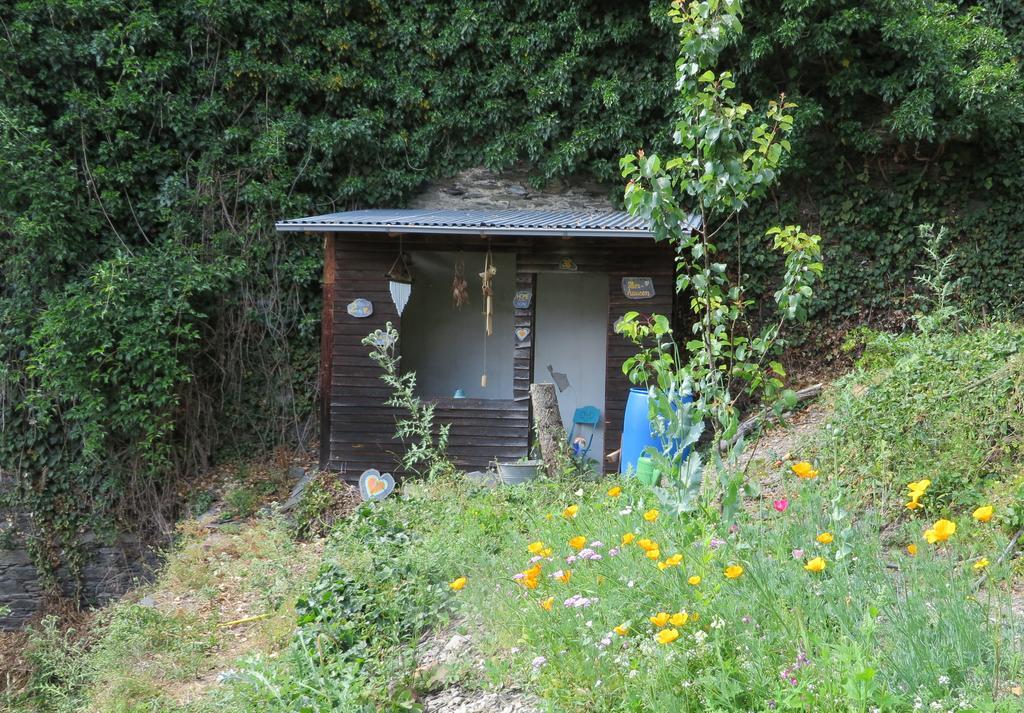 Ferienhaus Mauseloch Kaub Zewnętrze zdjęcie